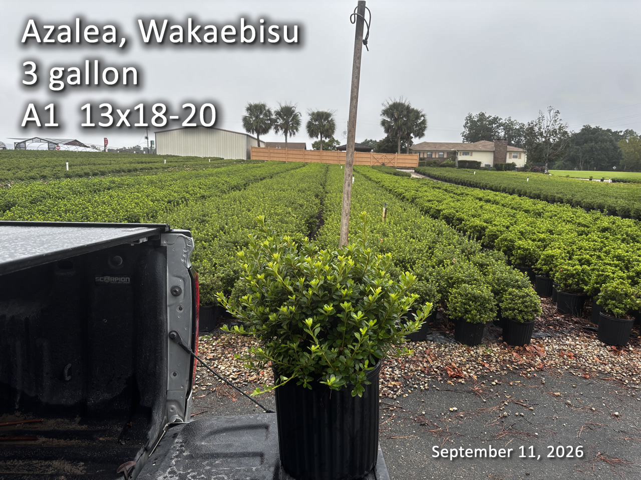 gallery/wak3 a1 sept10.jpg